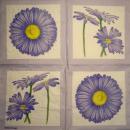 141 Daisies - 3-ply - (pink) - Molca